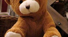 História dos brinquedos: ursinho de pelúcia